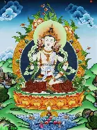  萨拉赫巅峰对决，TheShy与80激战西班牙队分钟，惊险取胜胜负难料！-开云体育登入